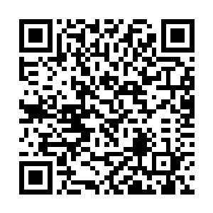 用它们配出来的海鲜汤在哪怕在小饭店里也总能吃到二维码生成