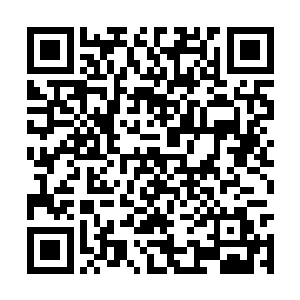 用它笨拙庞大的身躯带着刺骨的寒气向张涛撞过去二维码生成