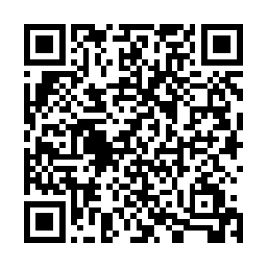 用它那锋利且非常坚硬的牙齿紧紧的咬住长宁风刺来的长剑二维码生成