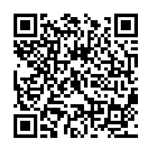 用尽了全力也不一定能够击败一头成年的烈风豹的二维码生成