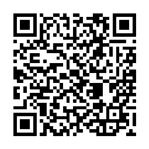 用尽所有的心力帮助他去完成那一个遥不可及的梦想二维码生成