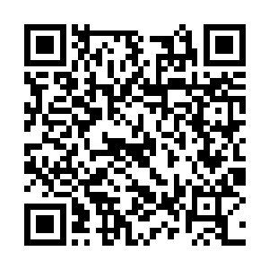 用平铺直述的首发讲述了一个发人深省的生活故事二维码生成