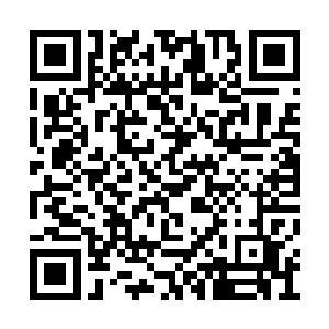 用得着你一个毛都没有长齐的黄口小儿来教训么二维码生成