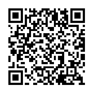 用惨不忍睹都无法来形容那个噩梦般的九号影厅二维码生成