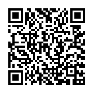 用愿力笼罩住巫运之果根须所能吸收能量的全部范围二维码生成