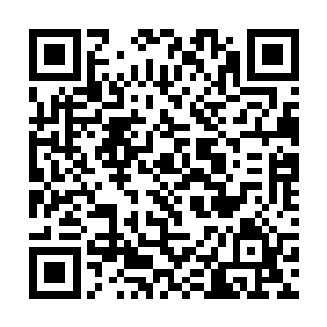 用我们的道德规范和社会法则把他们改造得更加温驯二维码生成