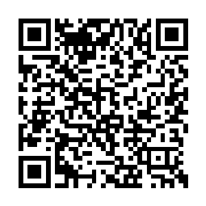 用手中的实力和权柄给精灵添添堵是轻松愉快的二维码生成