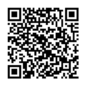 用手指着赵虎身边的那些介绍青龙大陆的书籍道二维码生成