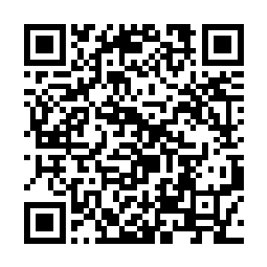 用手机邮箱里的备份发了一份到官方名片上的邮箱里二维码生成
