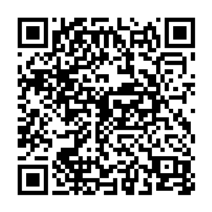 用手轻轻的在地上抓起一把闪烁着光点的粉末拿在手中细细打量着二维码生成