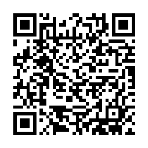 用控魂术将这只幽冥七星毒蚁完全控制在手中了……二维码生成