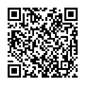 用来支付给愿意随咱们一起参加猎海大战的散修随扈吧二维码生成