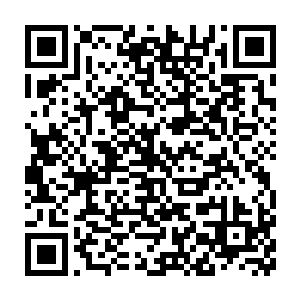 用来购买一些成型何首乌或者千年人参来补一补身体的根基也可以二维码生成