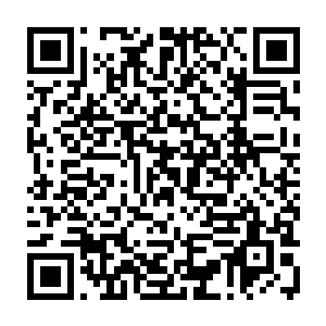 用某位喜欢吃鸭脖的著名解说的话来讲辛德拉打乐芙兰那就是爸爸打儿子二维码生成