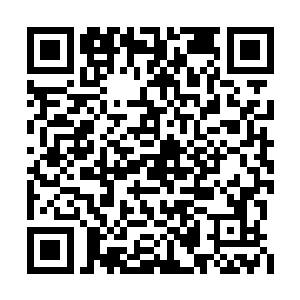 用爪子碰了碰自己方才微微有些发痛的一侧耳朵二维码生成