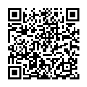 用牙子的话讲日租金高达一根手指头的大画舫里二维码生成