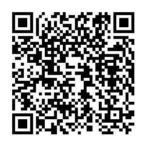 用狼吞虎咽的动作贪婪的吸纳着周围那浓郁的已经形成一道淡淡白雾的能量二维码生成