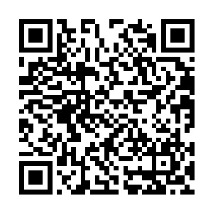 用的不过是几个鸡蛋和一些其他菜蔬的边角料而已二维码生成