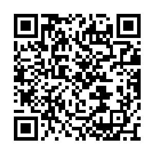 用的工具都是用非常有说法的祥瑞往生草做成的二维码生成