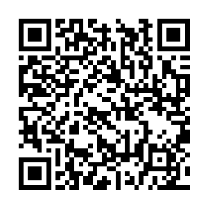 用真气检测小米身体情况的时候却是眉头紧皱起来二维码生成