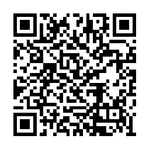 用神识又他探查了一下河伯仙府之内的西门孤烟二维码生成