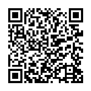用精神力将项链空间内的东西都抖到了宫殿树的大厅之中二维码生成