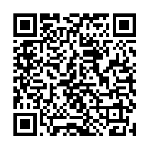 用胀大成十丈大小的玉尺在虚空中狠狠地击打了几次二维码生成