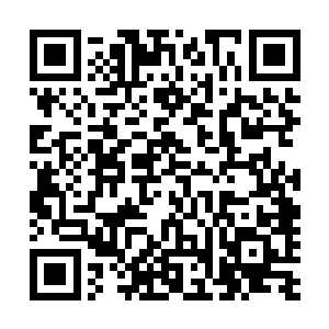 用自己的平静的气息为她营造出一个小小的安静祥和的怀抱二维码生成