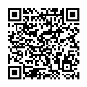 用自己神界之中的妖兽异形大军去冲击这雷鸟和雷虎二维码生成