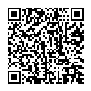 用读魂之术把对方脑袋里的东西读一遍然后直接找到幕后首脑杀上门了二维码生成