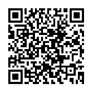 用这套战术一定要选高爆发或者有稳定控制的刺客二维码生成