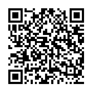 用这样七彩绚烂的目光朝自己的手臂和张嘉树的大脑看去二维码生成