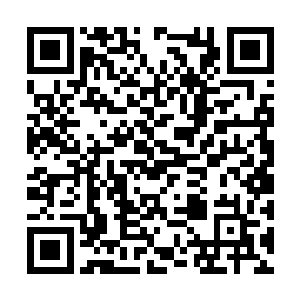 用这银色的双瞳朝着月色中黑漆漆的峡谷扫了一圈二维码生成