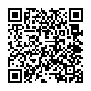 用金线和各色珍宝再加上最好的羊毛织成一条地毯二维码生成