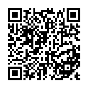 用钱砸岂不是侮辱了这位冰清玉洁气质出尘的姑娘二维码生成