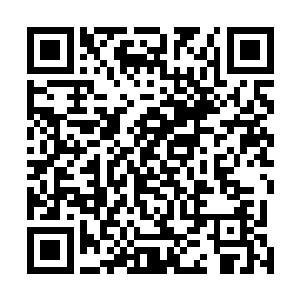 用颤抖的双手将散落在四周的龟壳碎片一块一块的捡起来二维码生成