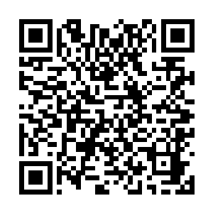 用颤抖的手从那些灰烬之中摸出了一块战士的铭牌二维码生成