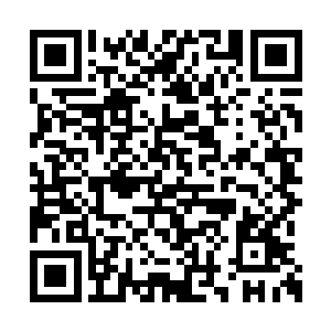 甩甩仍旧有些酸麻的手往那个口袋型的角落钻取二维码生成