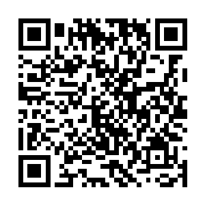 甫一进入结界就即刻能淡定贫嘴的澹台璃和谢一鸣二维码生成