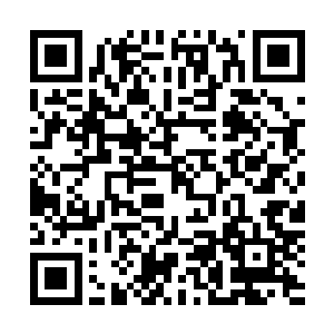 田不缺已经完全了放弃的防守姿态只是不停的挥动双拳进攻二维码生成