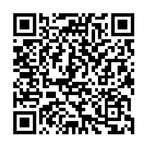 田云云再次认真地一个字一个字地看着笔记本上面的话语二维码生成