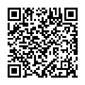 田八小姐有些不相信的瞧着闻佳意和闻春意两人二维码生成