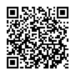 田卫东和熊景辉两人负责编撰的阜头四大古镇风情暨梅坞渔村二维码生成
