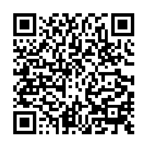 田府小八小姐亲自来请田悦和闻府新来的两位妹妹一块同乐二维码生成