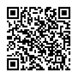 田林你不会真的以为自己有本事可以和我们名家抗衡了吧二维码生成