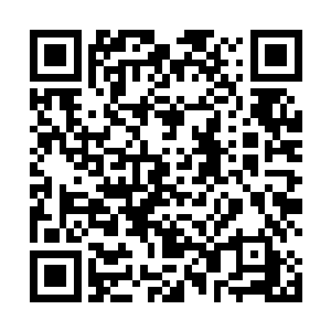 田洋到了一个新的地方就会打听当地是否有高产的粮食二维码生成