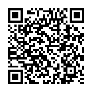 田洪国的五十万大军轻松地攻占翡翠国西北三省的十余座城市二维码生成