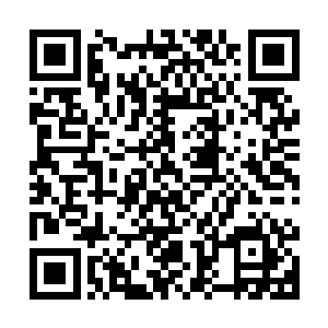田震东也因为之前收过的一些灰色收入而成为了本案的涉案成员二维码生成