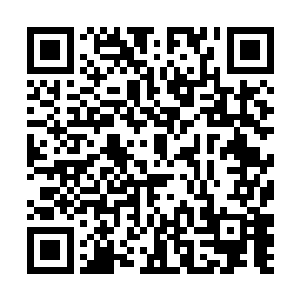 由上而下的分别砸落在了阴葵妖王和九幽雏凤的头顶二维码生成