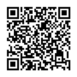 由于他先前为白虎朗姆吉尼斯封印黑暗力量损耗了大量的二维码生成